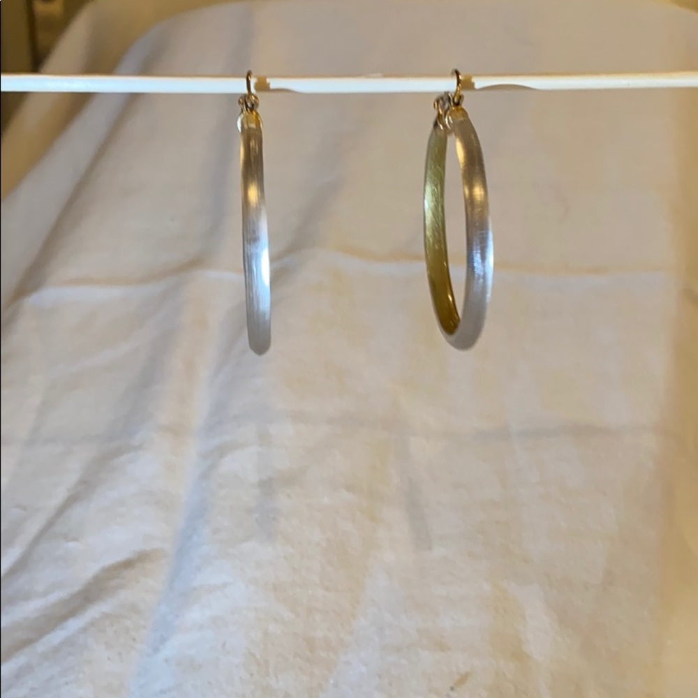 Alexis Bittar Lucite Hoop Earrings